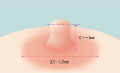 스크롤콘텐츠이미지